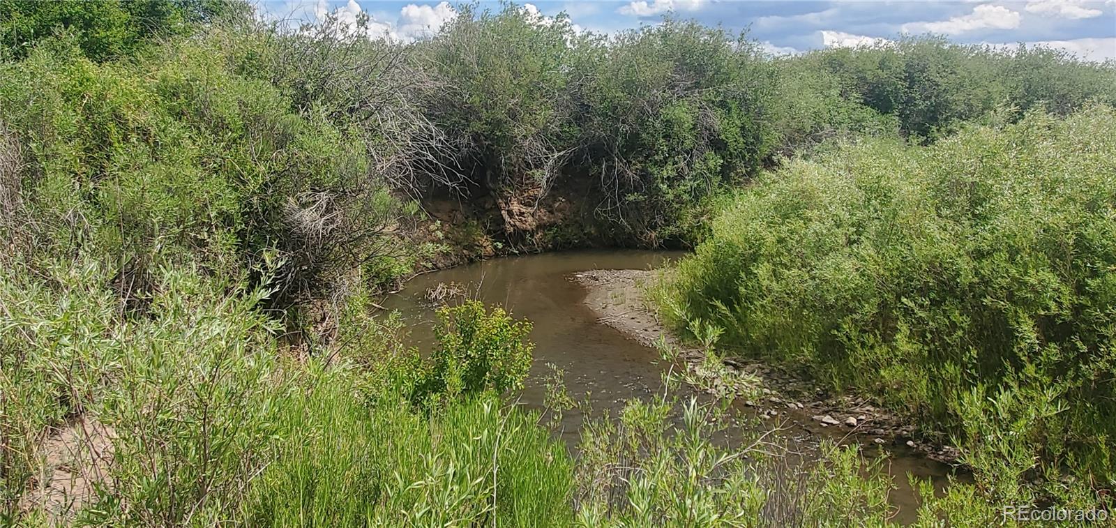 Lot 4053 Hilton Road Fort Garland CO 81133