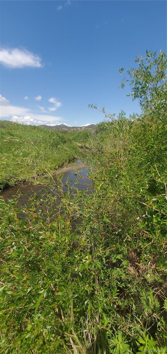 Lot 4053 Hilton Road Fort Garland CO 81133