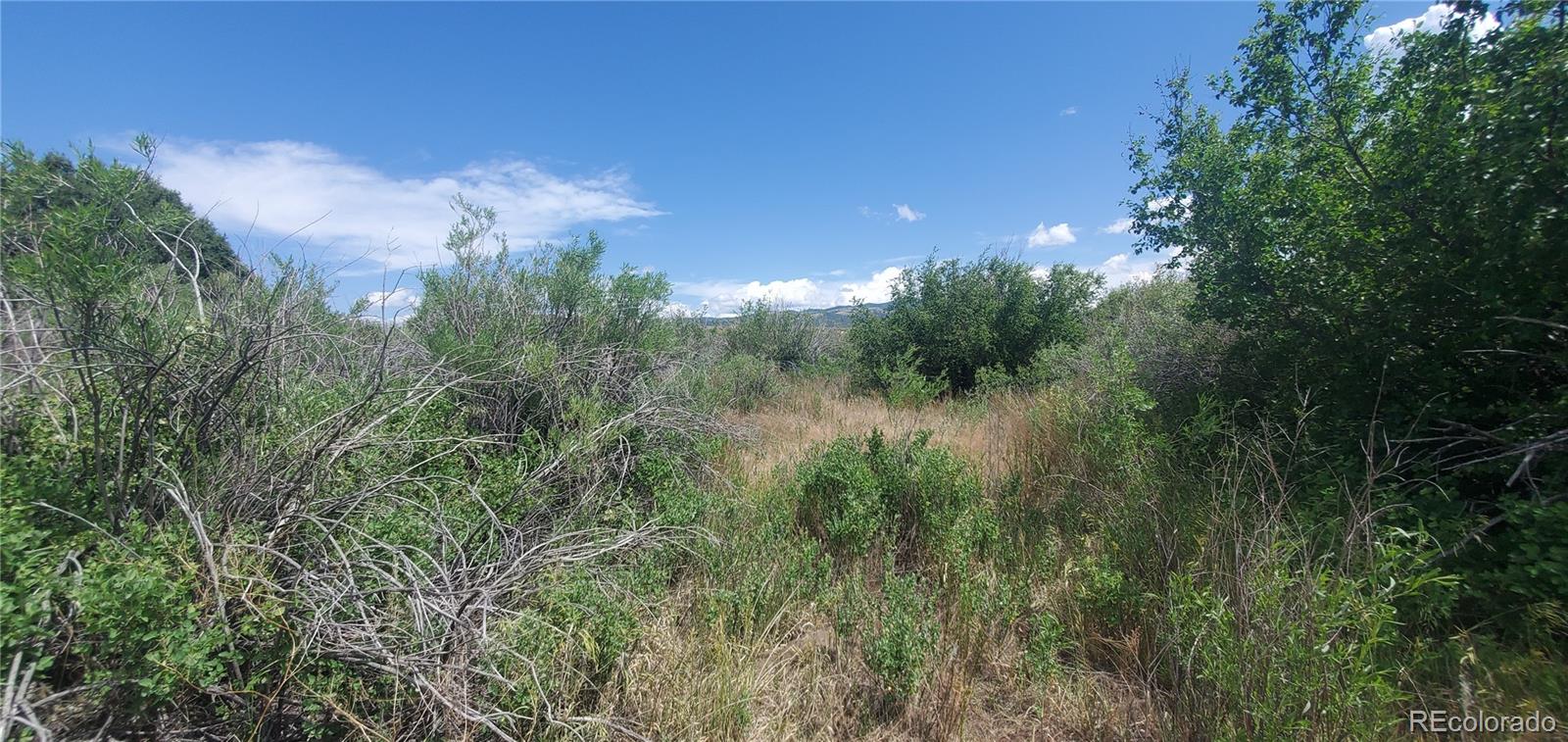 Lot 4053 Hilton Road Fort Garland CO 81133