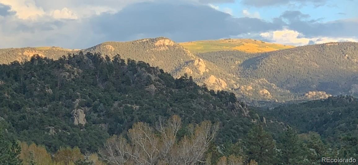 10795 County Road 197a Nathrop CO 81236