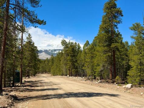 360 Peak View Drive Leadville CO 80461