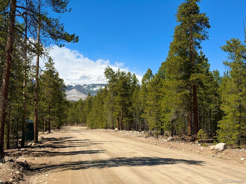 360 Peak View Drive Leadville CO 80461