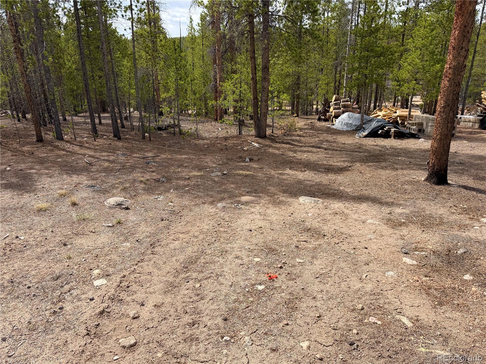 360 Peak View Drive Leadville CO 80461