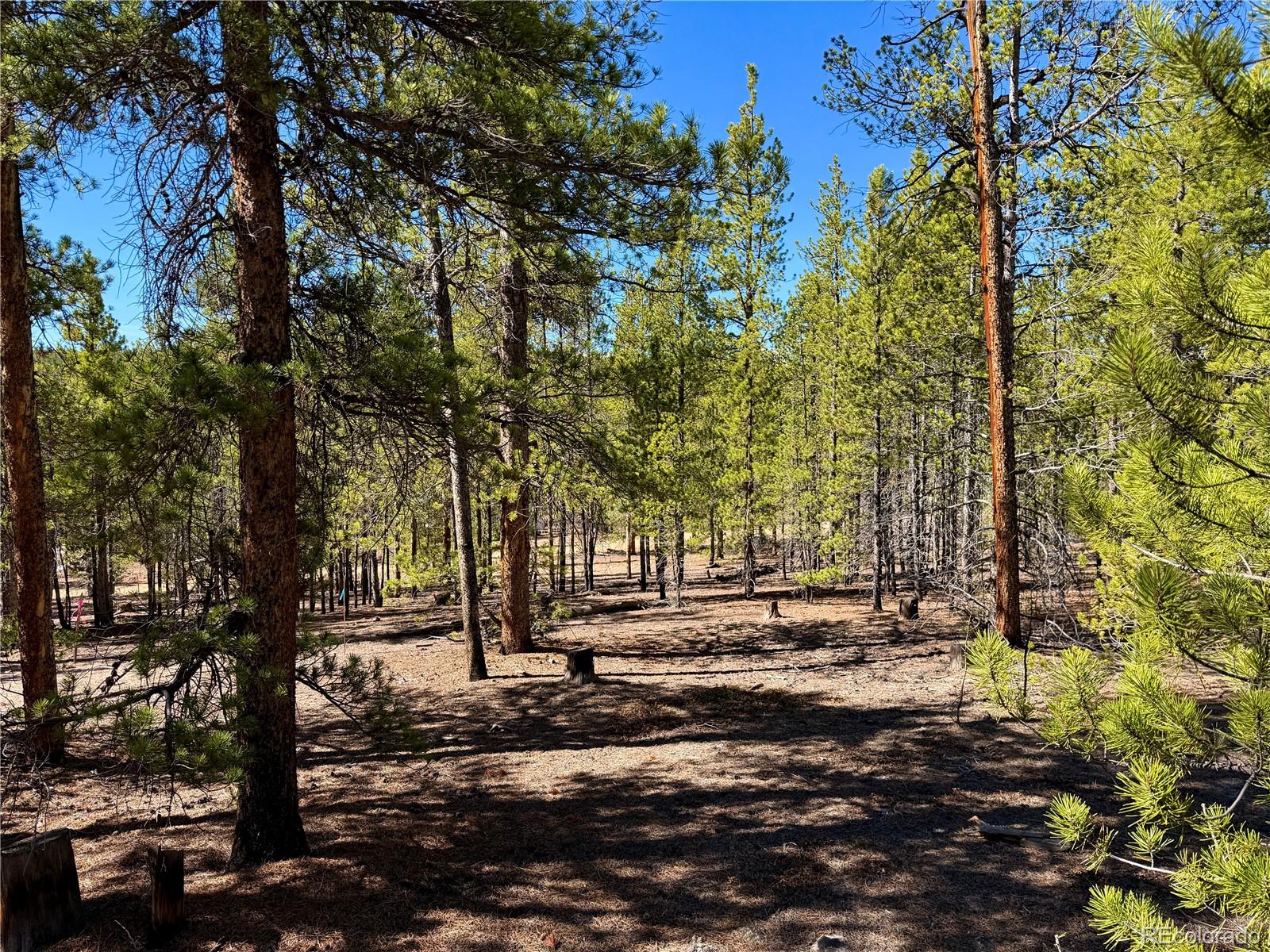 360 Peak View Drive Leadville CO 80461