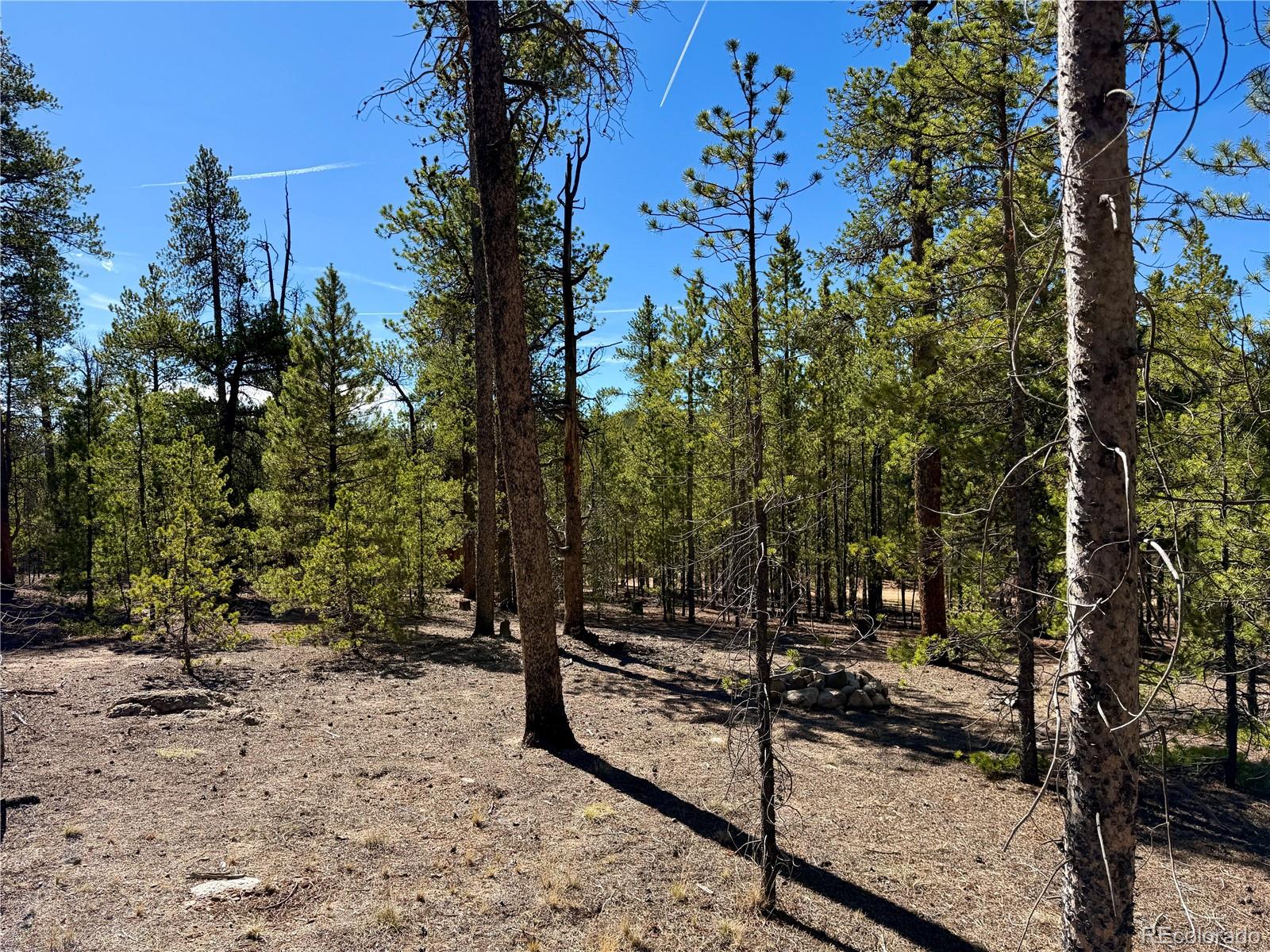 360 Peak View Drive Leadville CO 80461