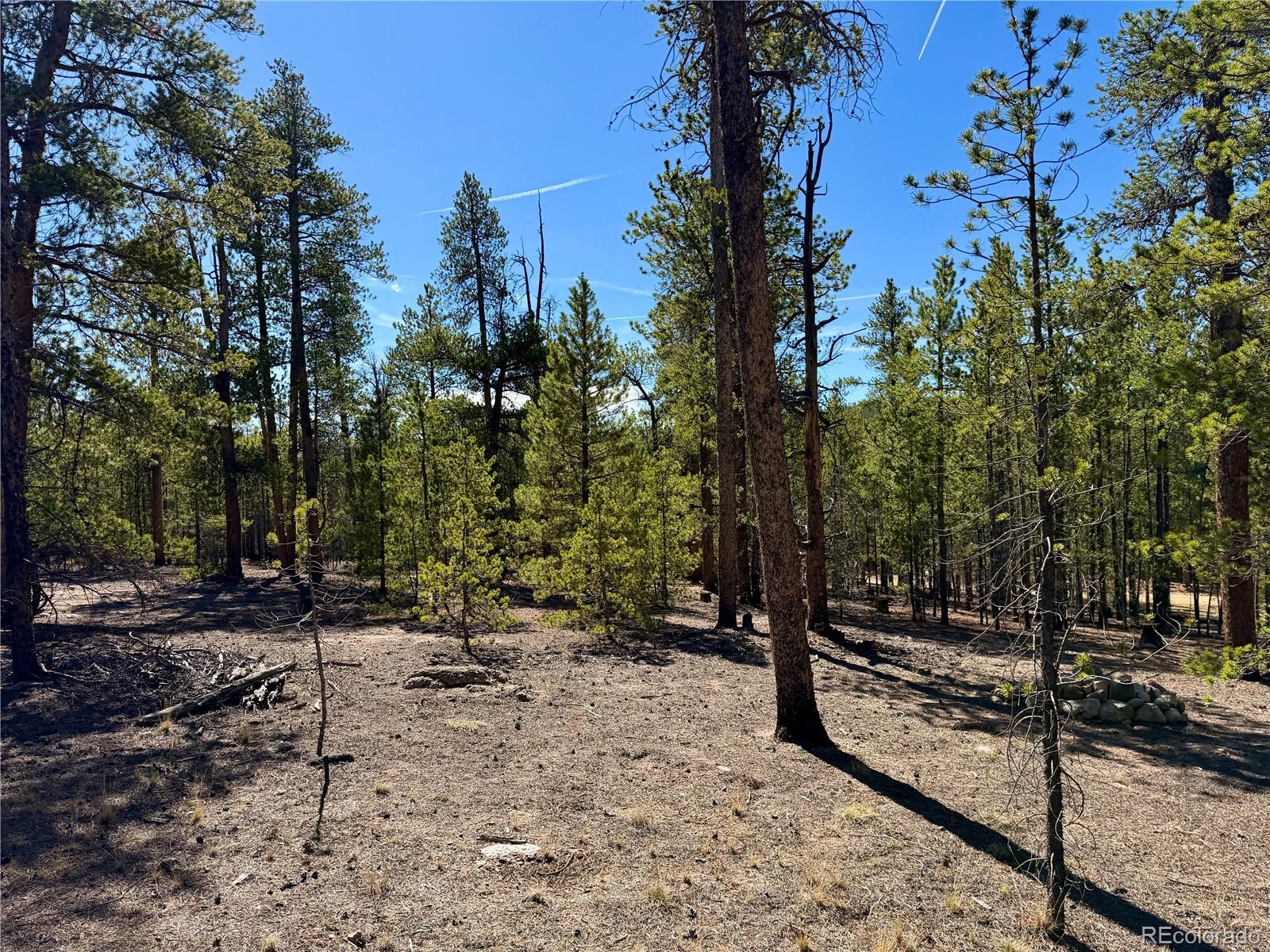 360 Peak View Drive Leadville CO 80461