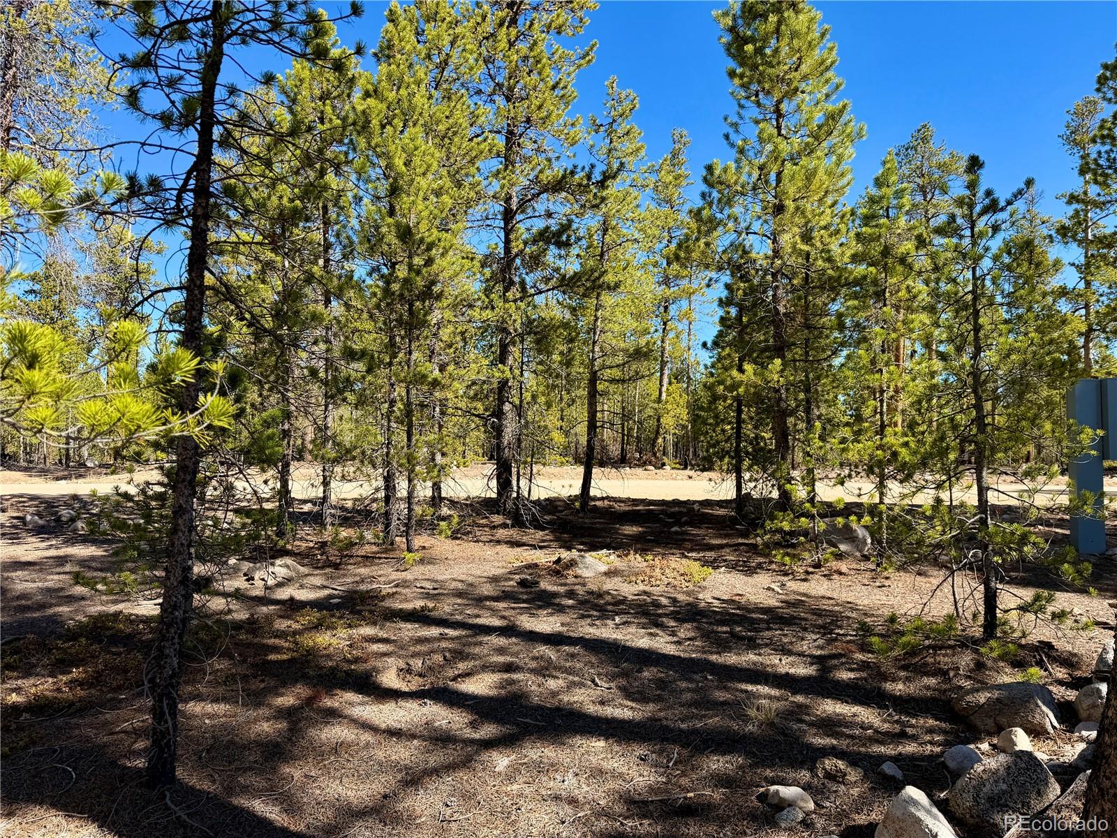 360 Peak View Drive Leadville CO 80461
