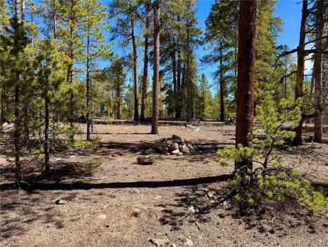 360 Peak View Drive Leadville CO 80461