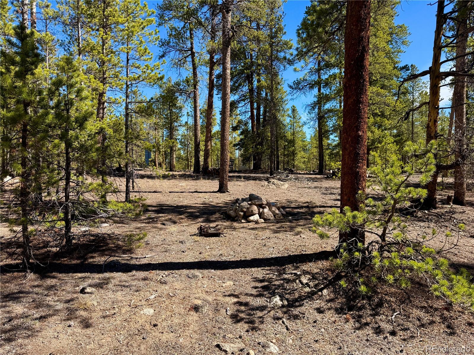 360 Peak View Drive Leadville CO 80461