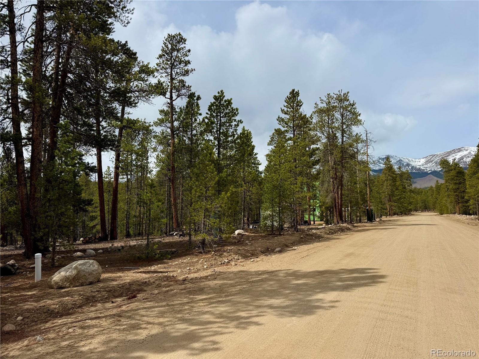 360 Peak View Drive Leadville CO 80461