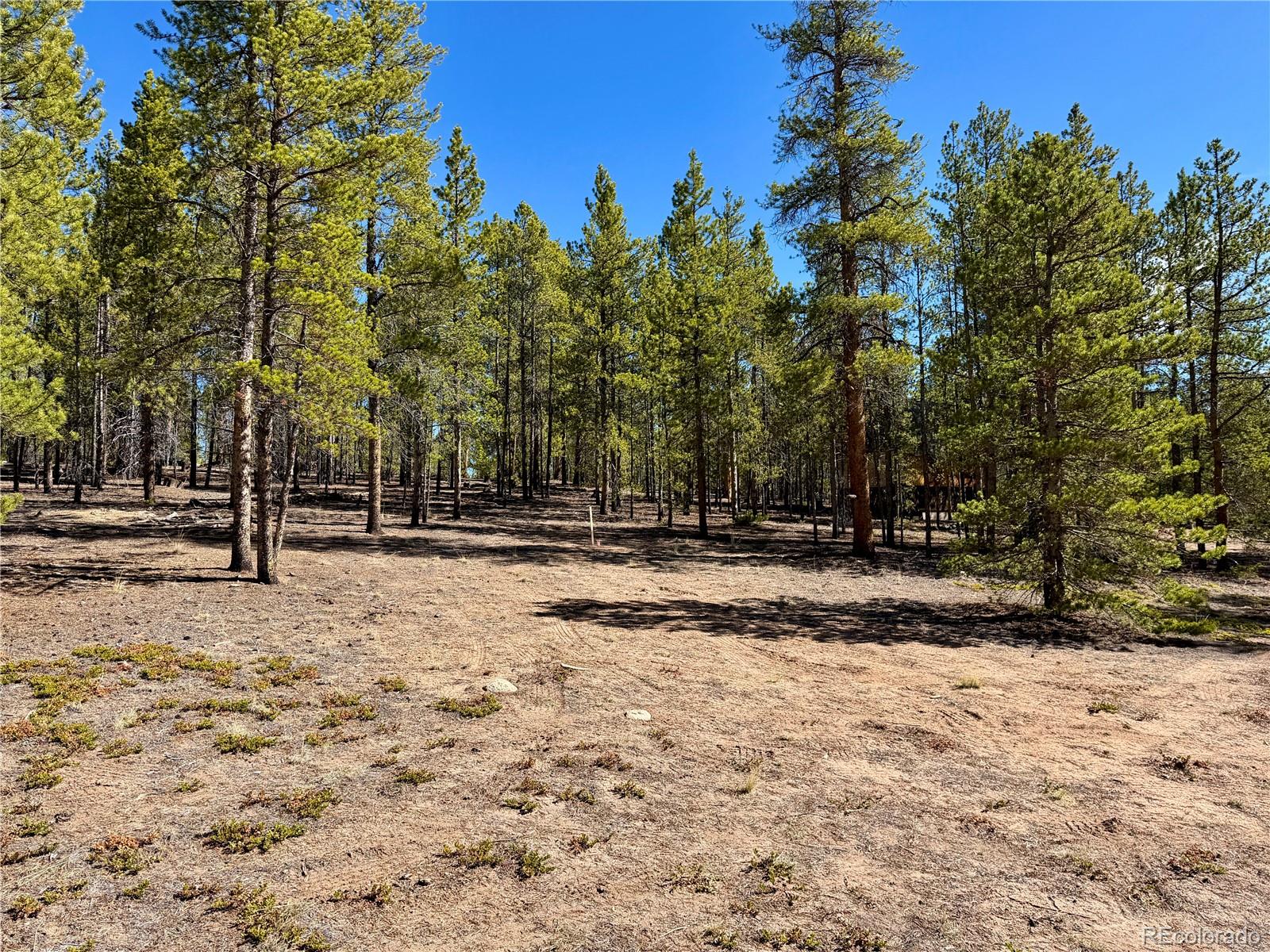 360 Peak View Drive Leadville CO 80461