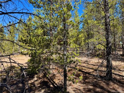 360 Peak View Drive Leadville CO 80461