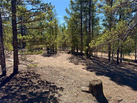360 Peak View Drive Leadville CO 80461