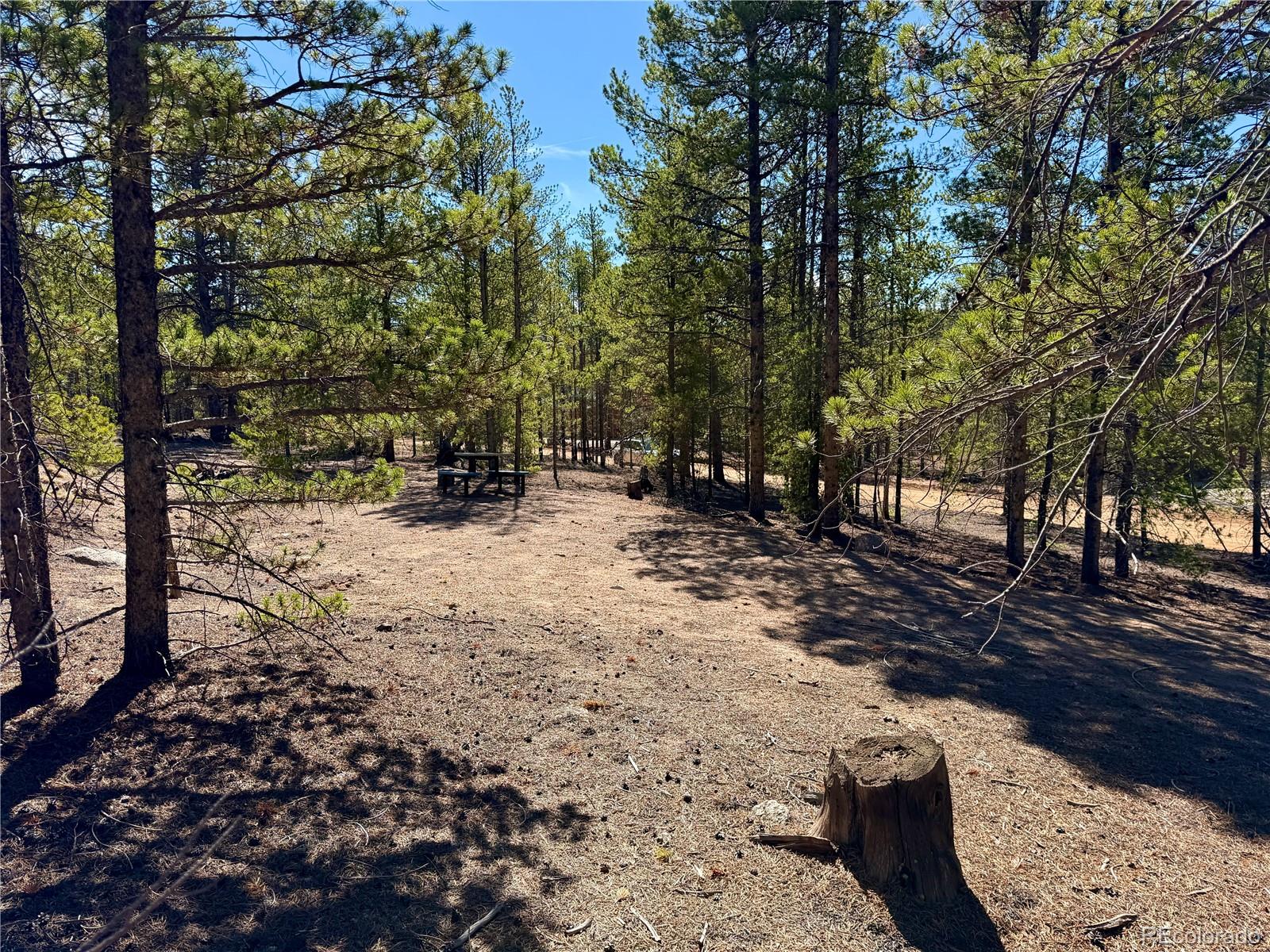 360 Peak View Drive Leadville CO 80461