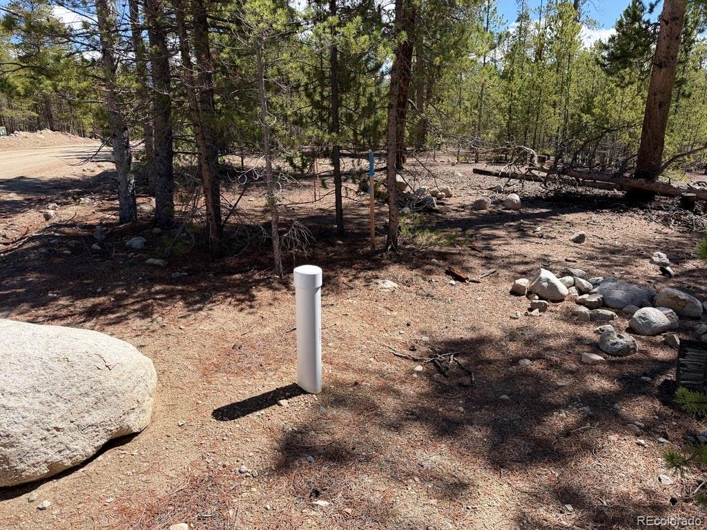 360 Peak View Drive Leadville CO 80461