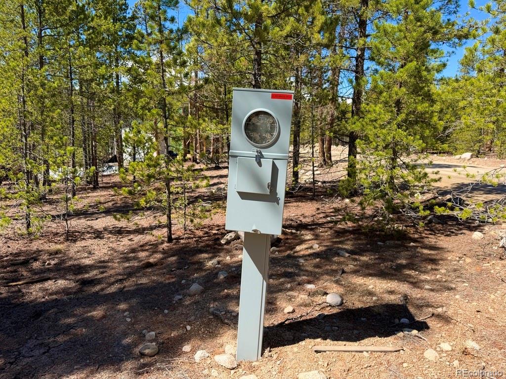 360 Peak View Drive Leadville CO 80461
