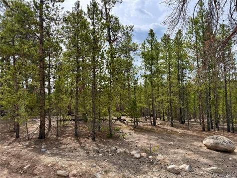 360 Peak View Drive Leadville CO 80461