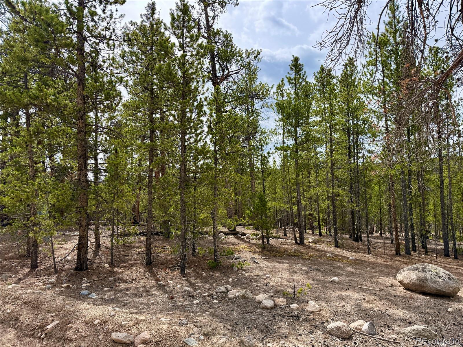 360 Peak View Drive Leadville CO 80461