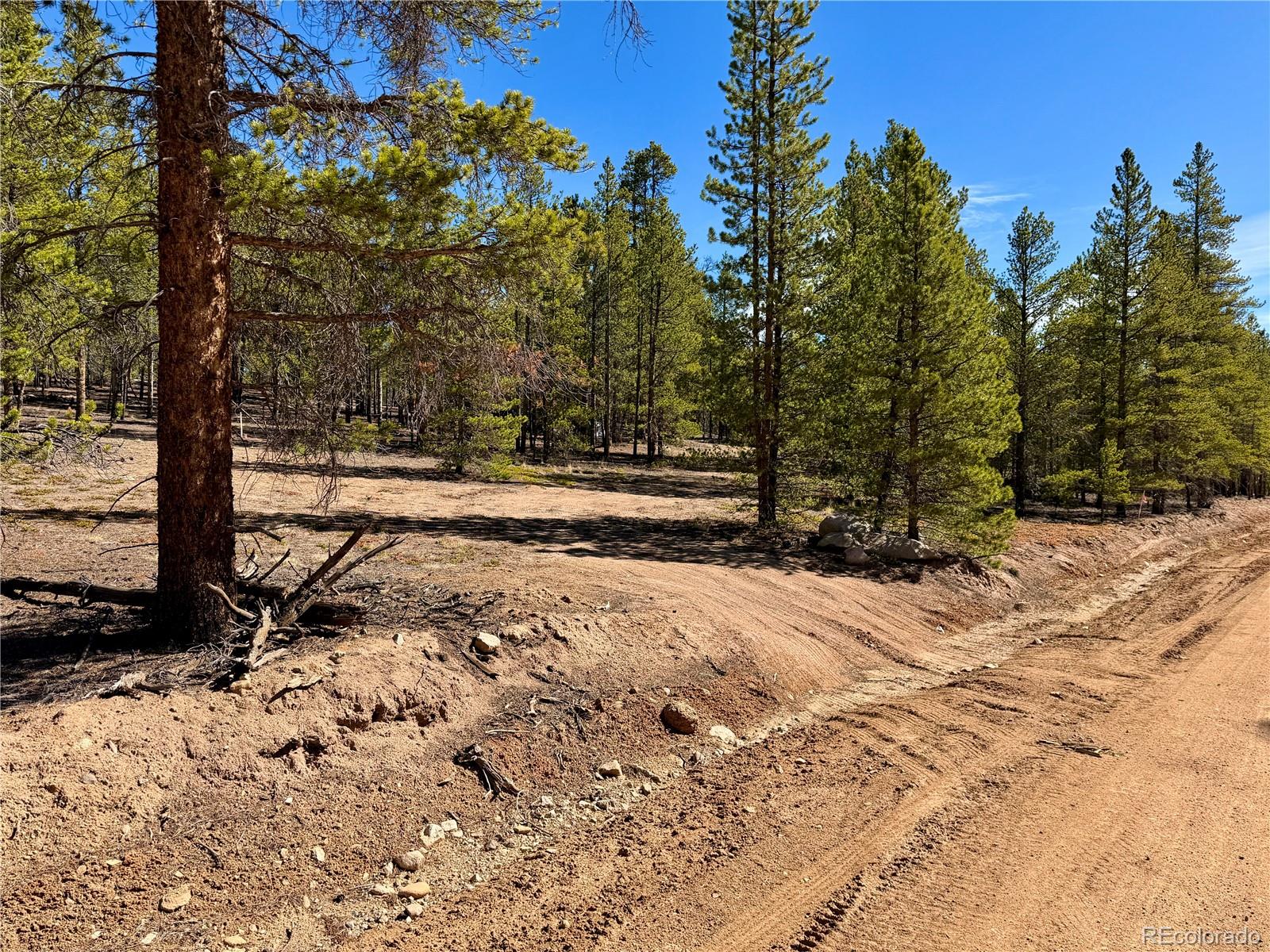 360 Peak View Drive Leadville CO 80461
