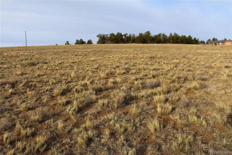 1071 Wagon Wheel Road Hartsel CO 80449