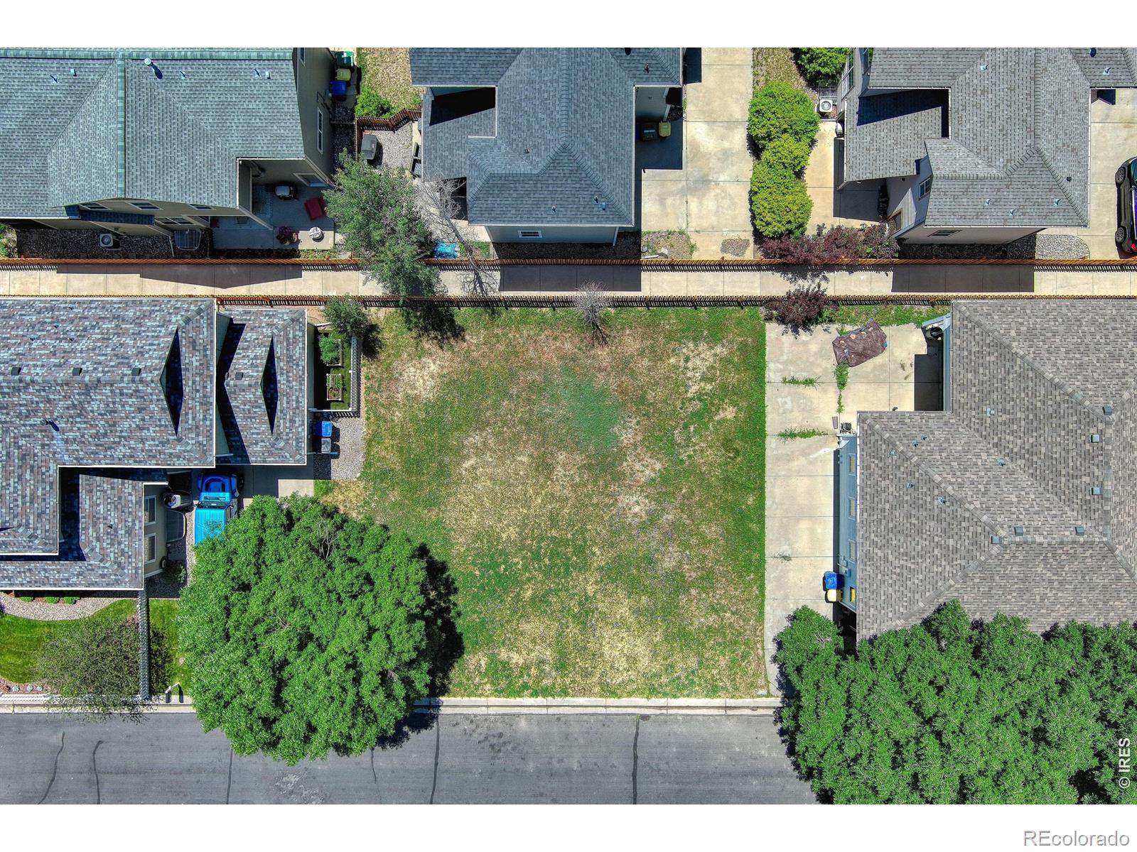421 Noel Avenue Longmont CO 80501