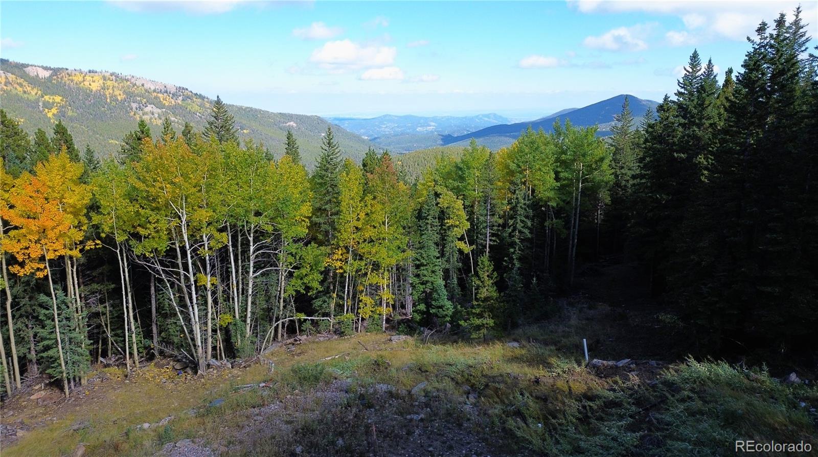 429 Sawmill Lane Idaho Springs CO 80452