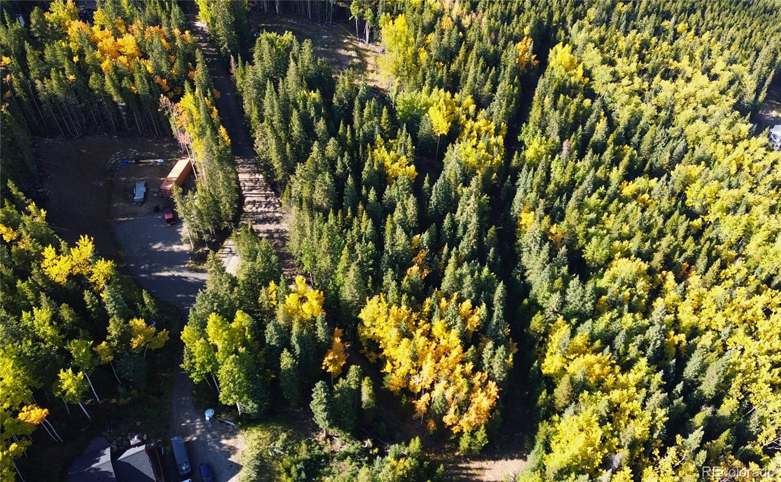 429 Sawmill Lane Idaho Springs CO 80452