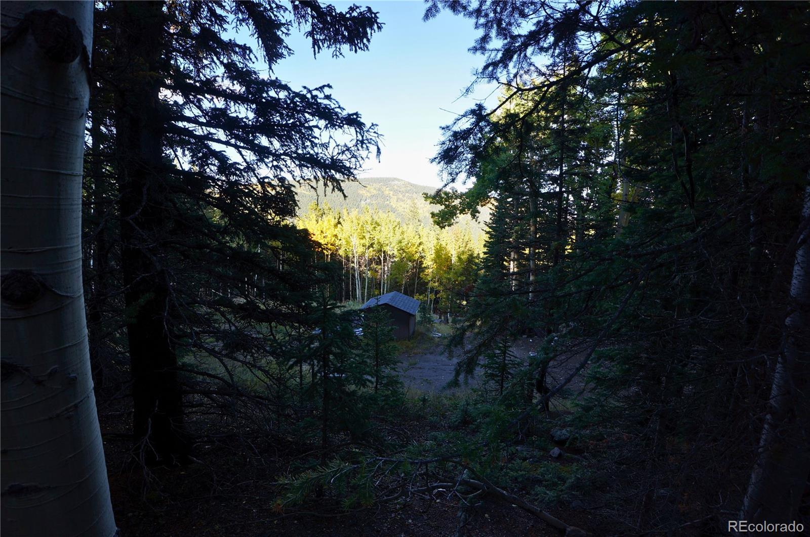 429 Sawmill Lane Idaho Springs CO 80452