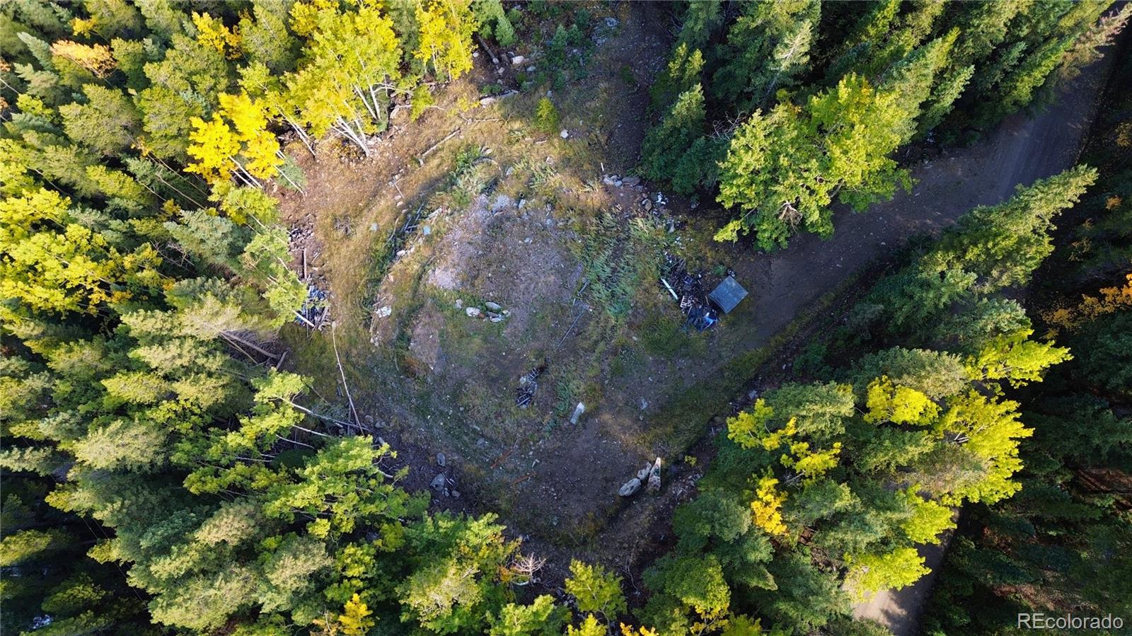 429 Sawmill Lane Idaho Springs CO 80452