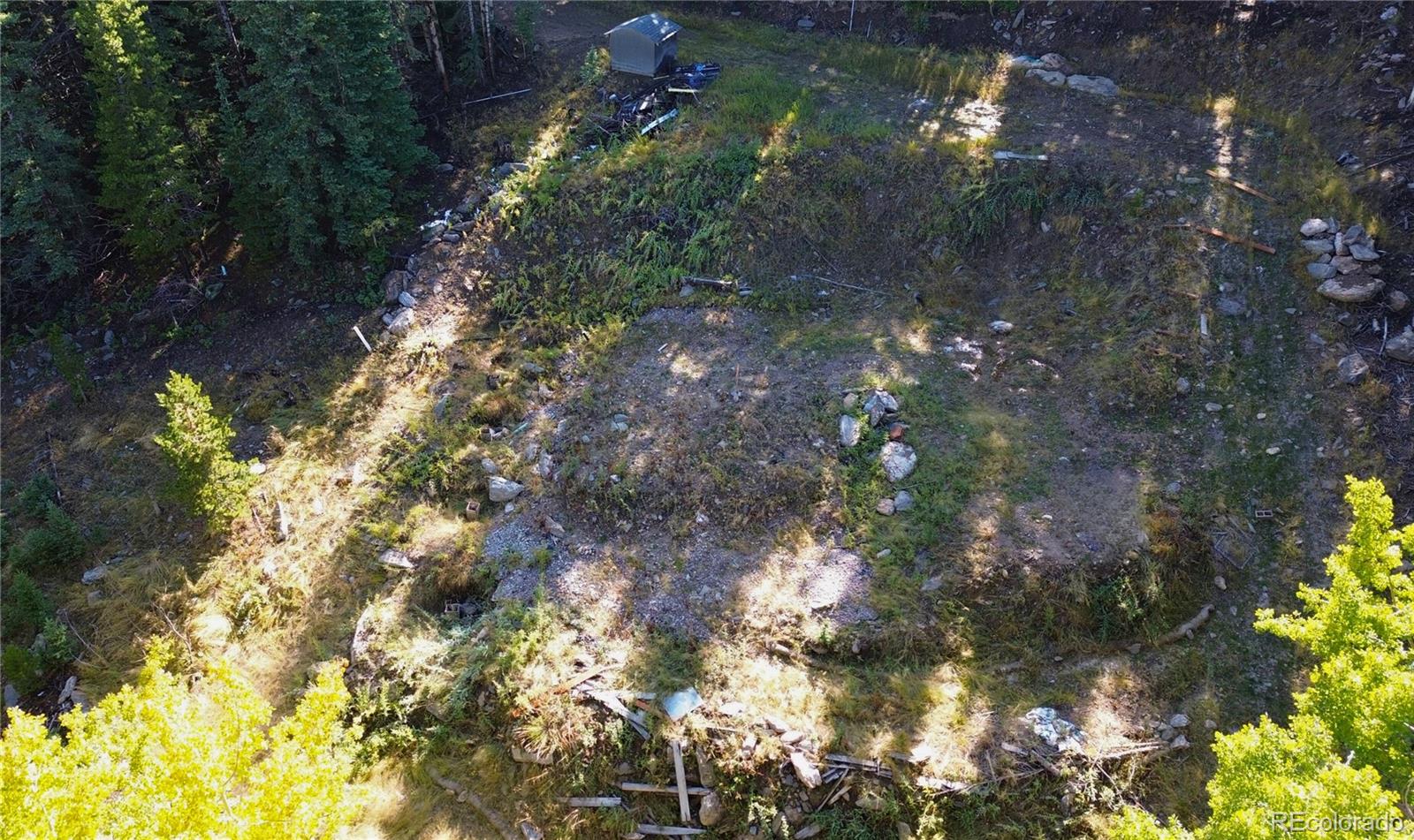 429 Sawmill Lane Idaho Springs CO 80452