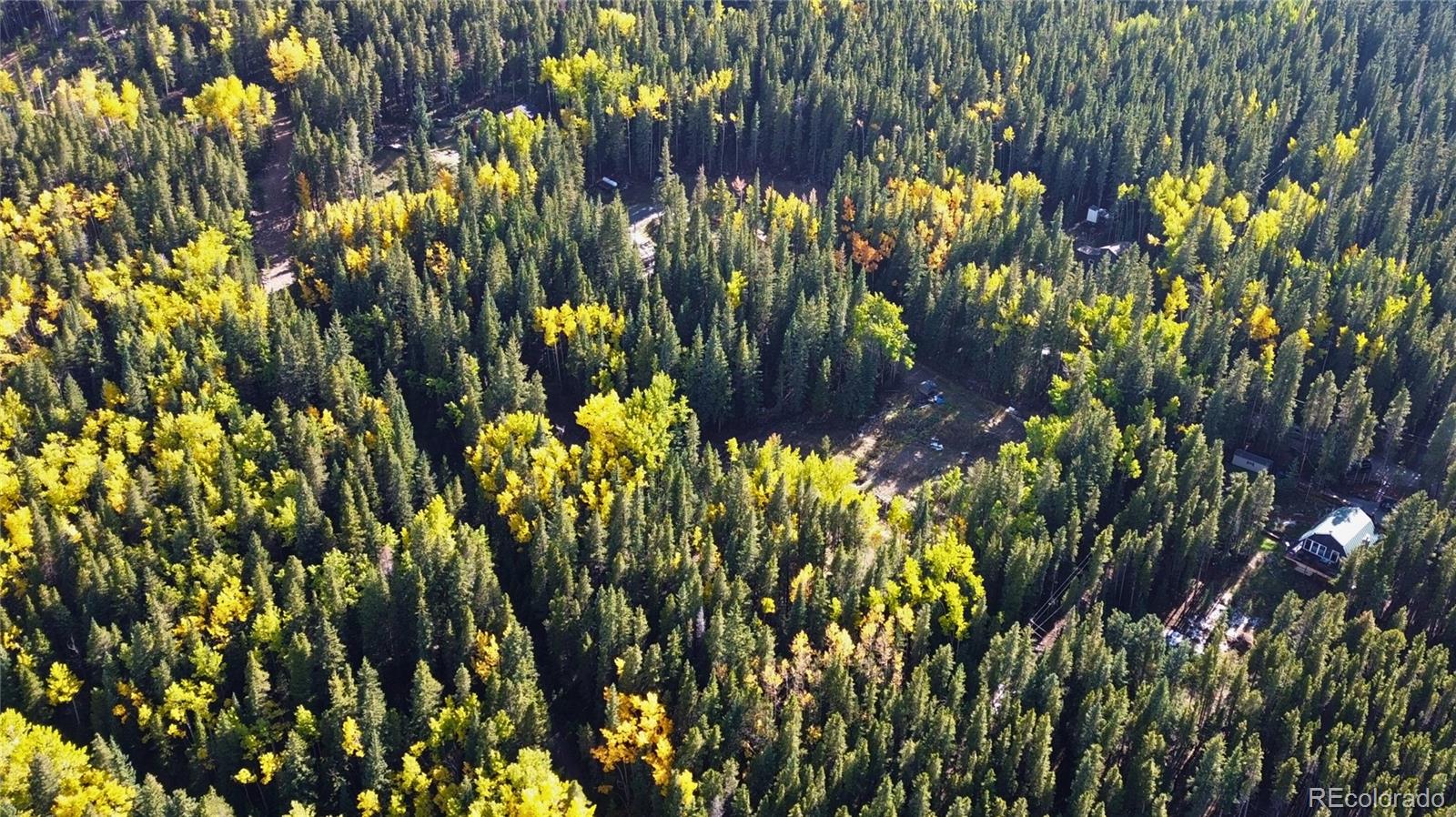 429 Sawmill Lane Idaho Springs CO 80452