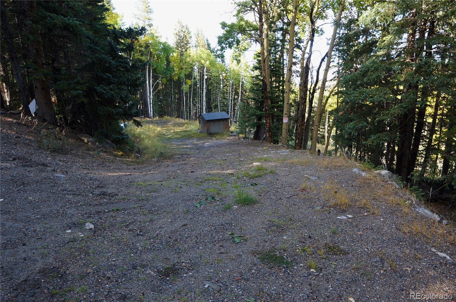 429 Sawmill Lane Idaho Springs CO 80452
