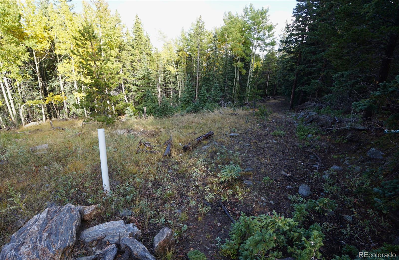 429 Sawmill Lane Idaho Springs CO 80452