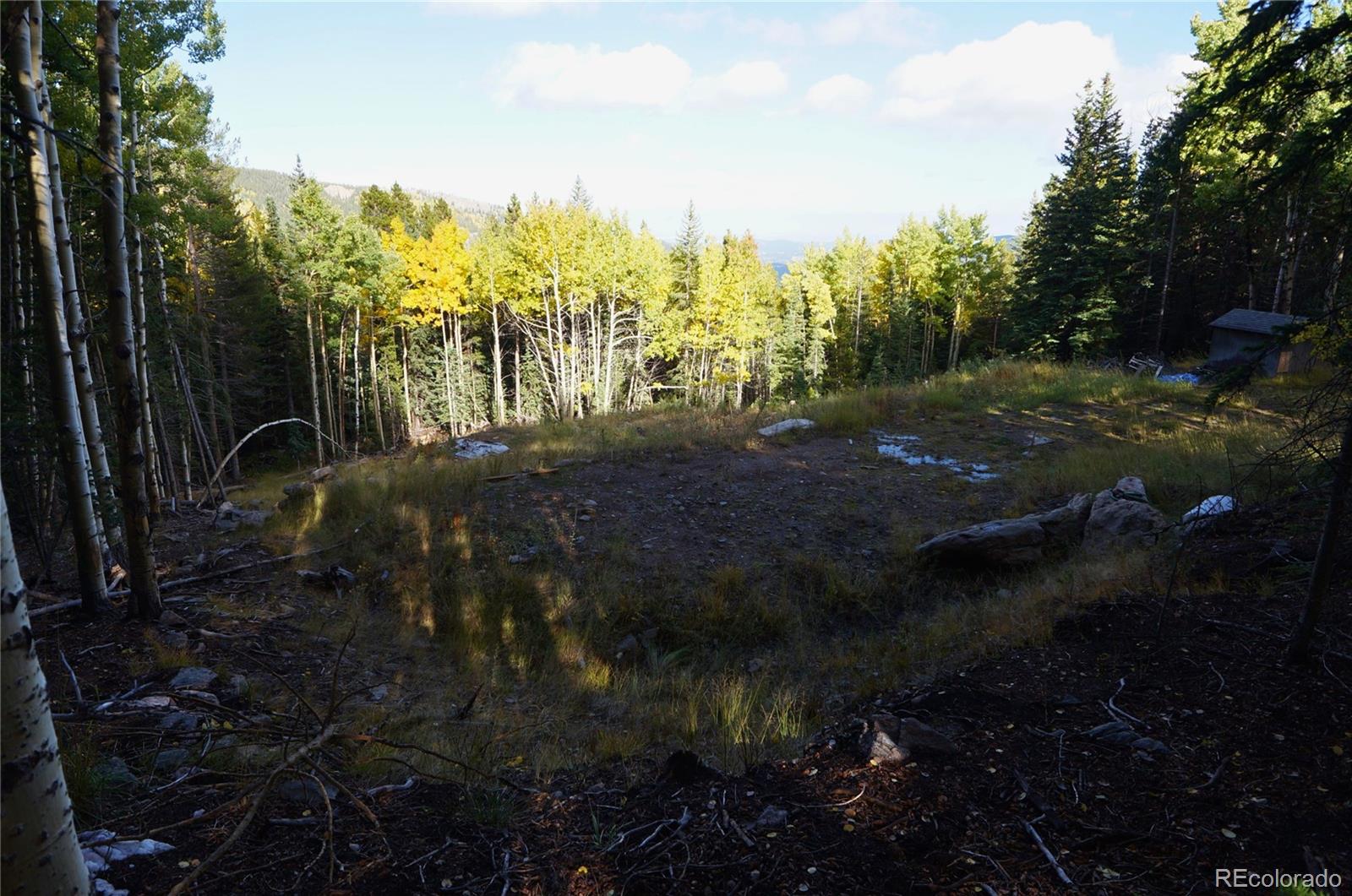 429 Sawmill Lane Idaho Springs CO 80452