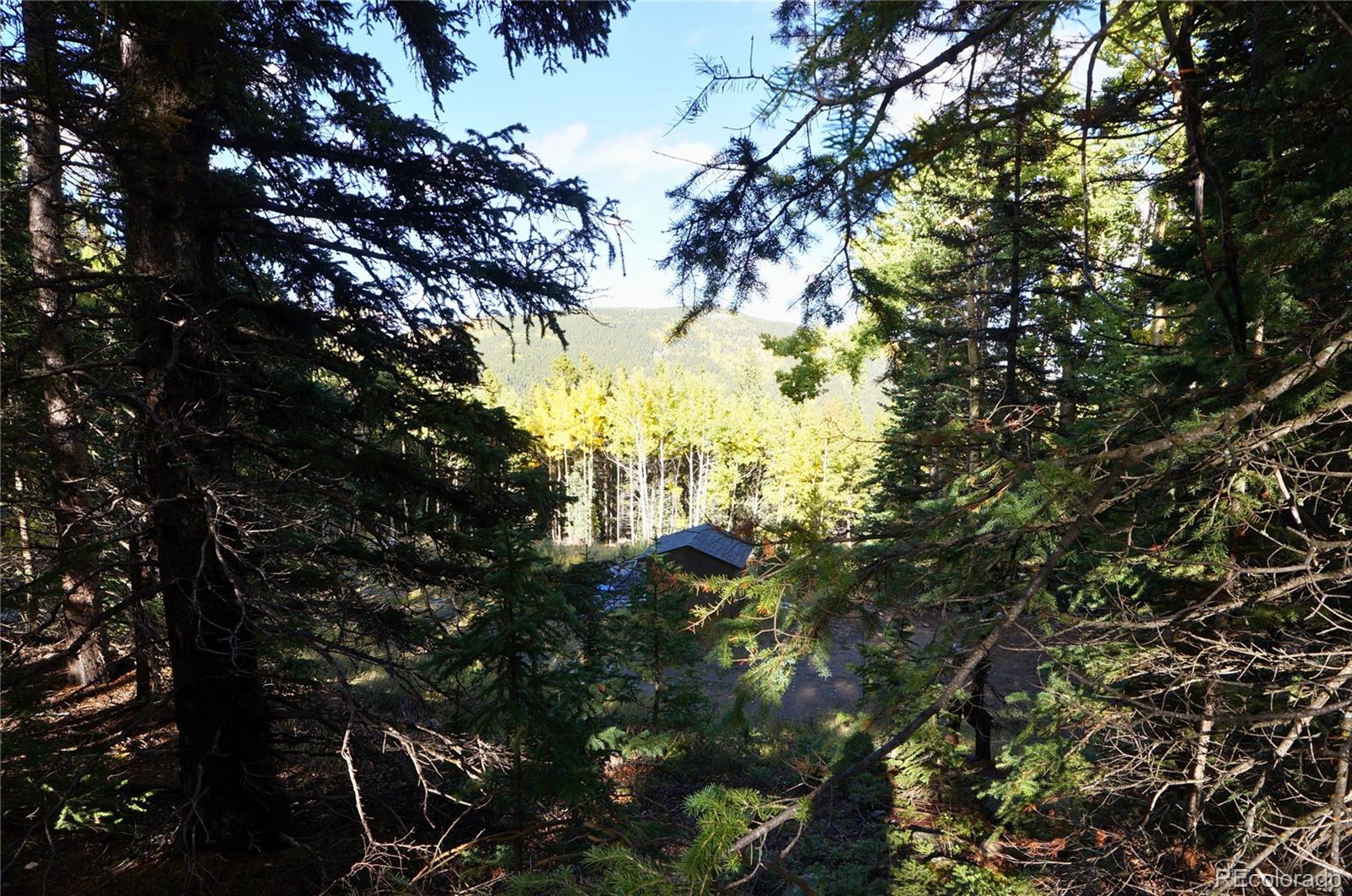 429 Sawmill Lane Idaho Springs CO 80452