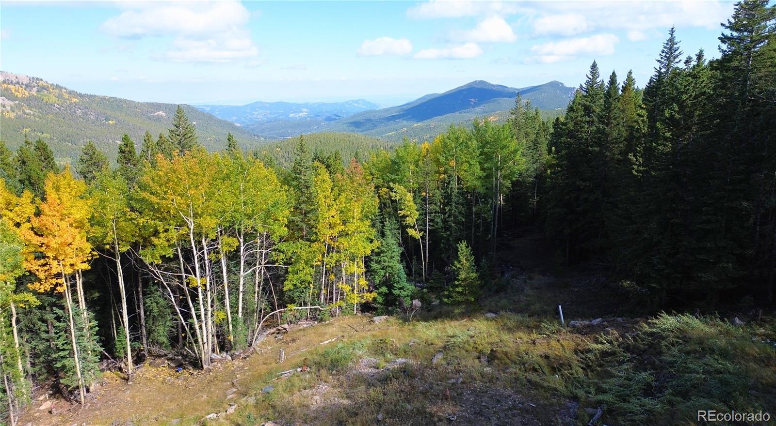 429 Sawmill Lane Idaho Springs CO 80452