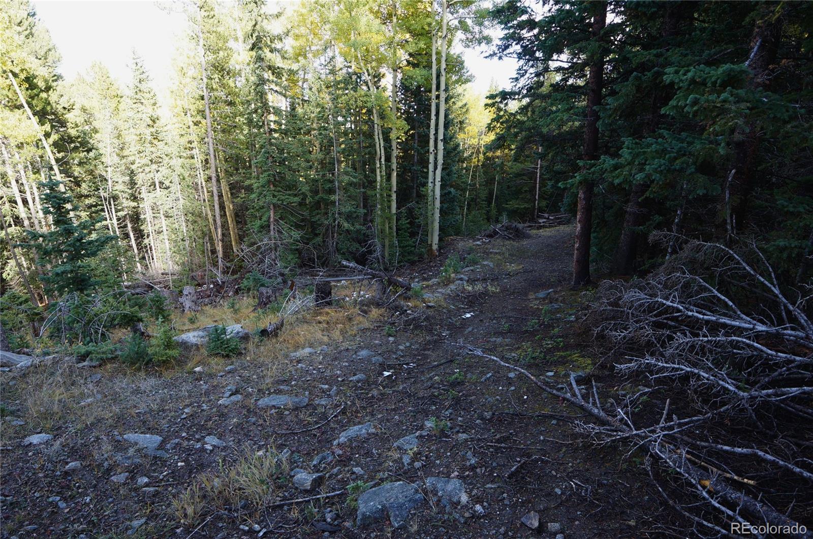 429 Sawmill Lane Idaho Springs CO 80452