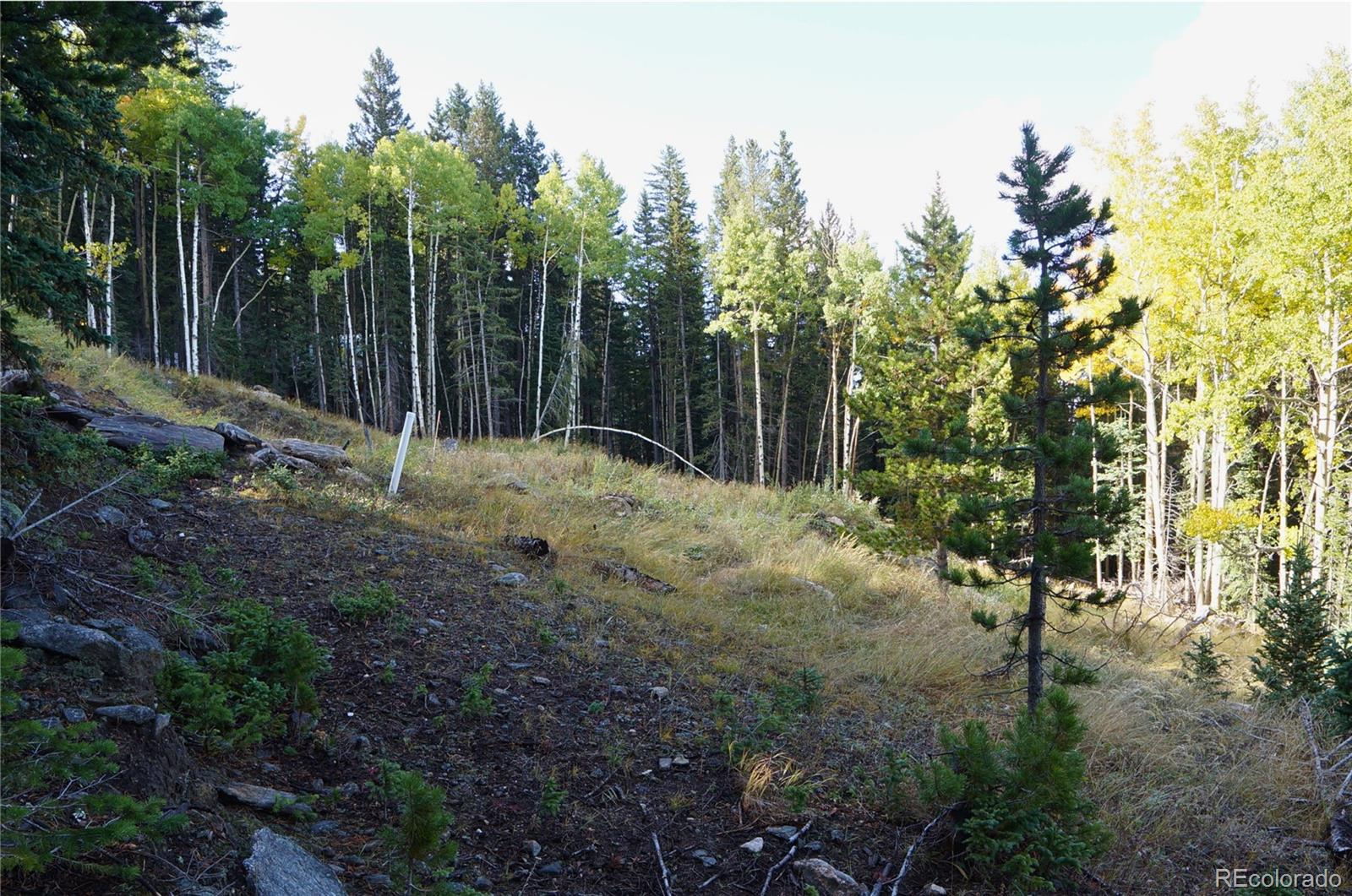429 Sawmill Lane Idaho Springs CO 80452