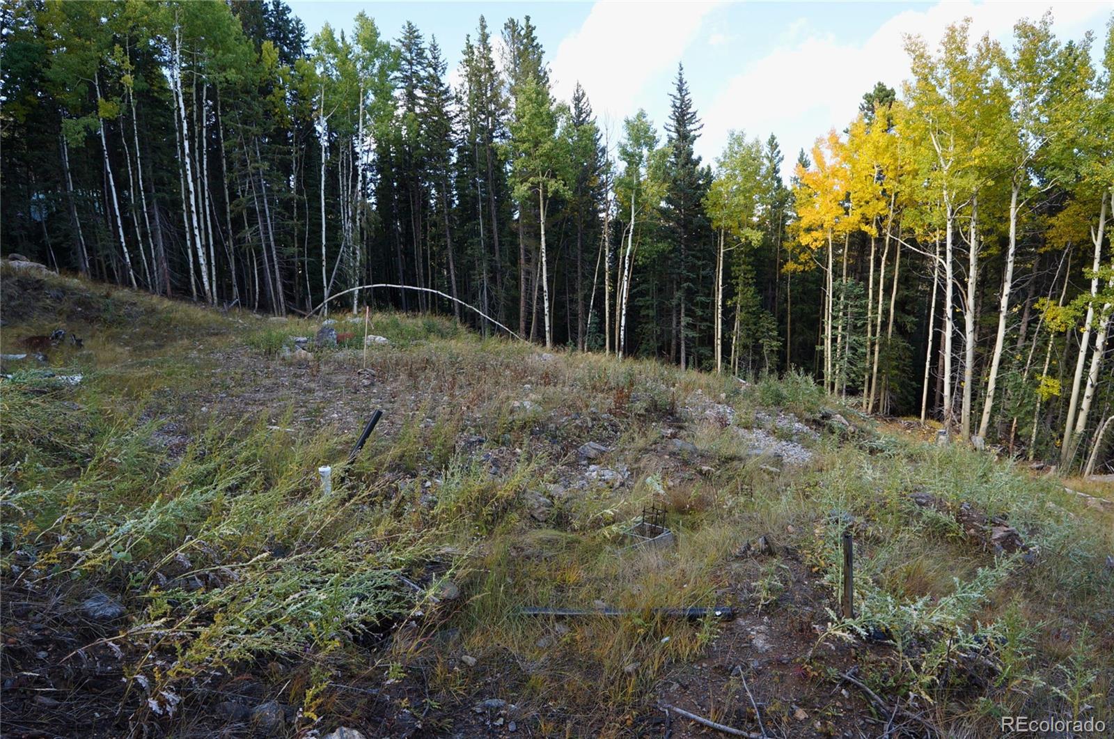 429 Sawmill Lane Idaho Springs CO 80452