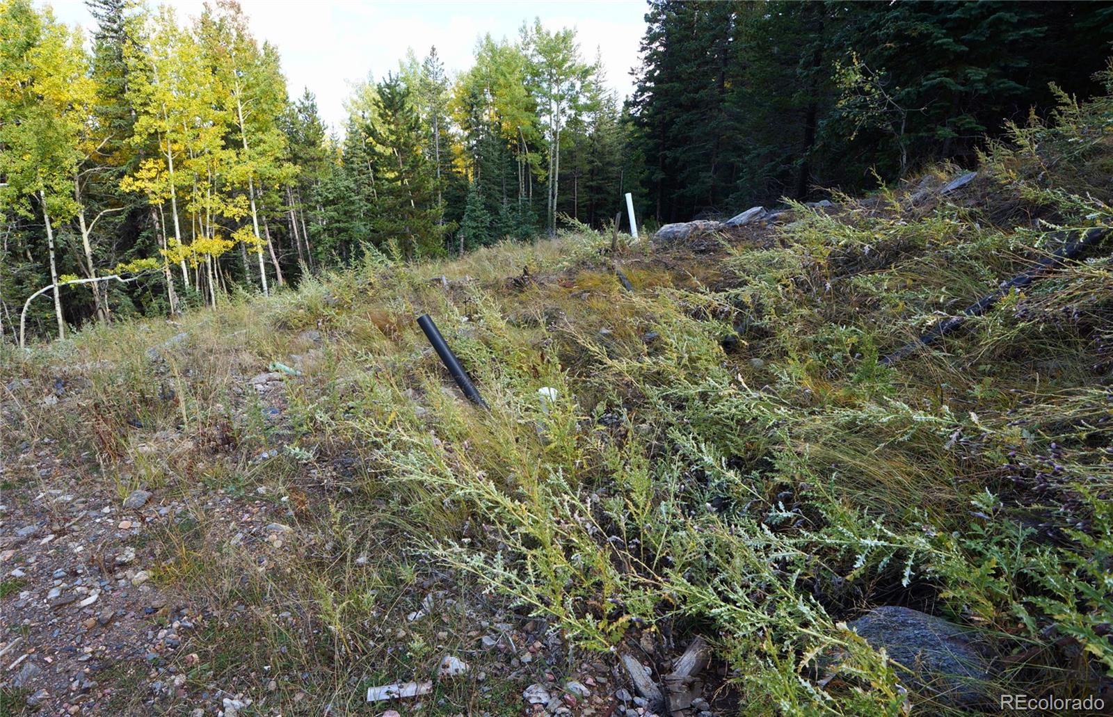 429 Sawmill Lane Idaho Springs CO 80452