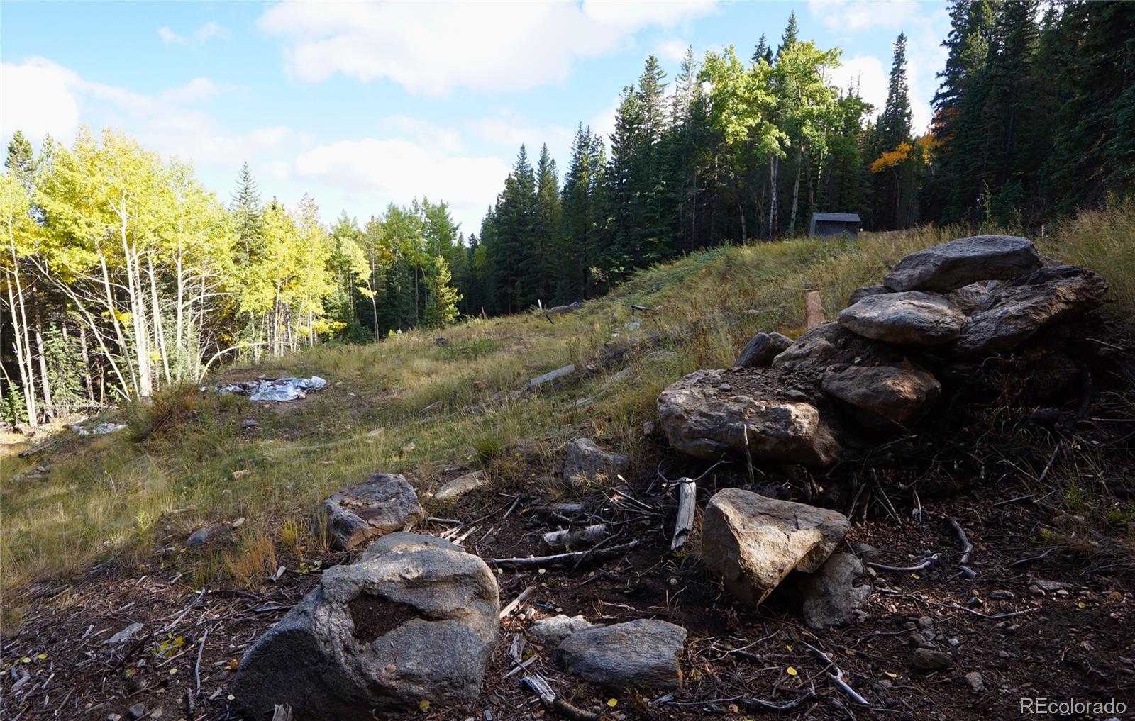 429 Sawmill Lane Idaho Springs CO 80452