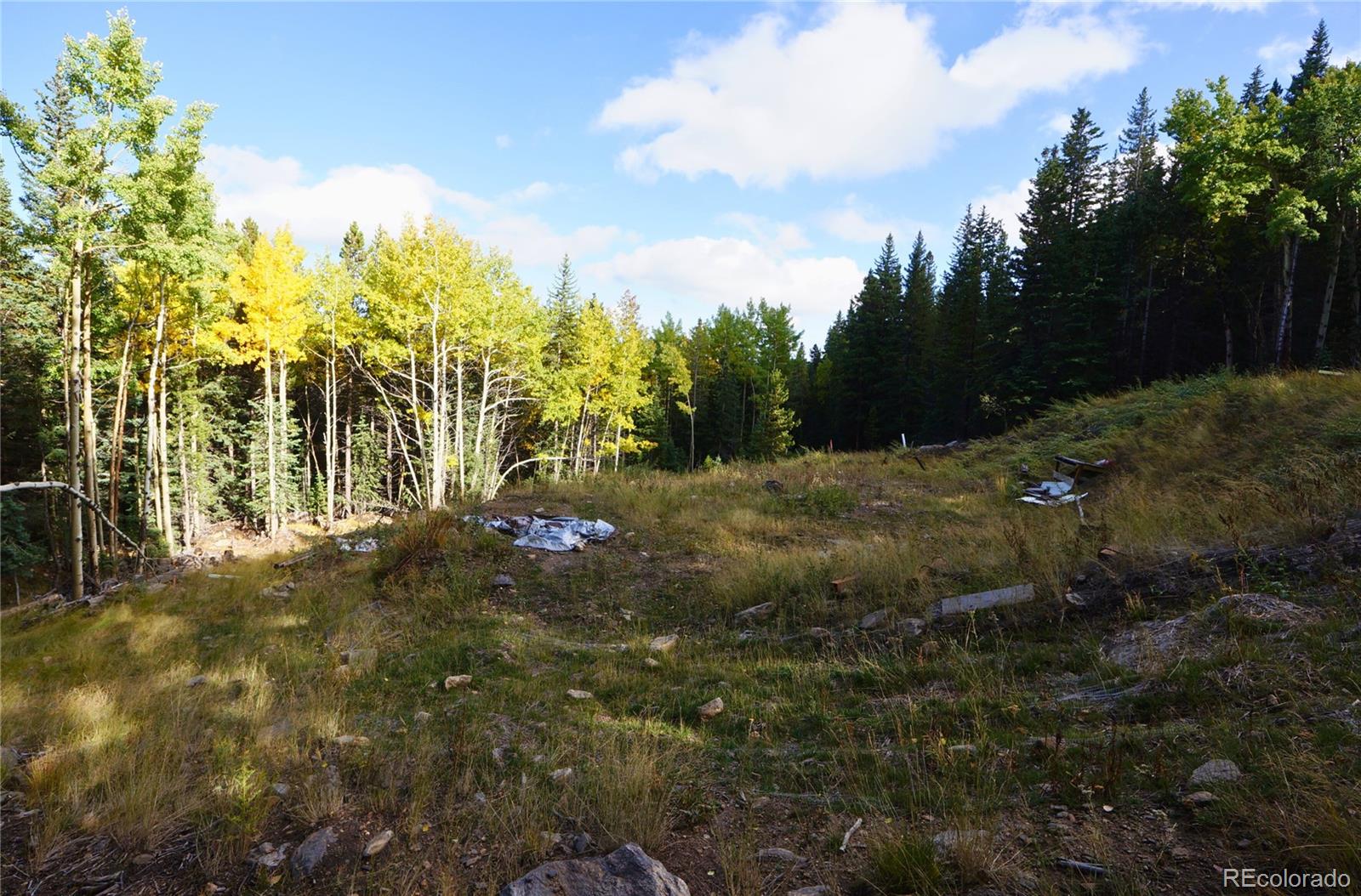 429 Sawmill Lane Idaho Springs CO 80452
