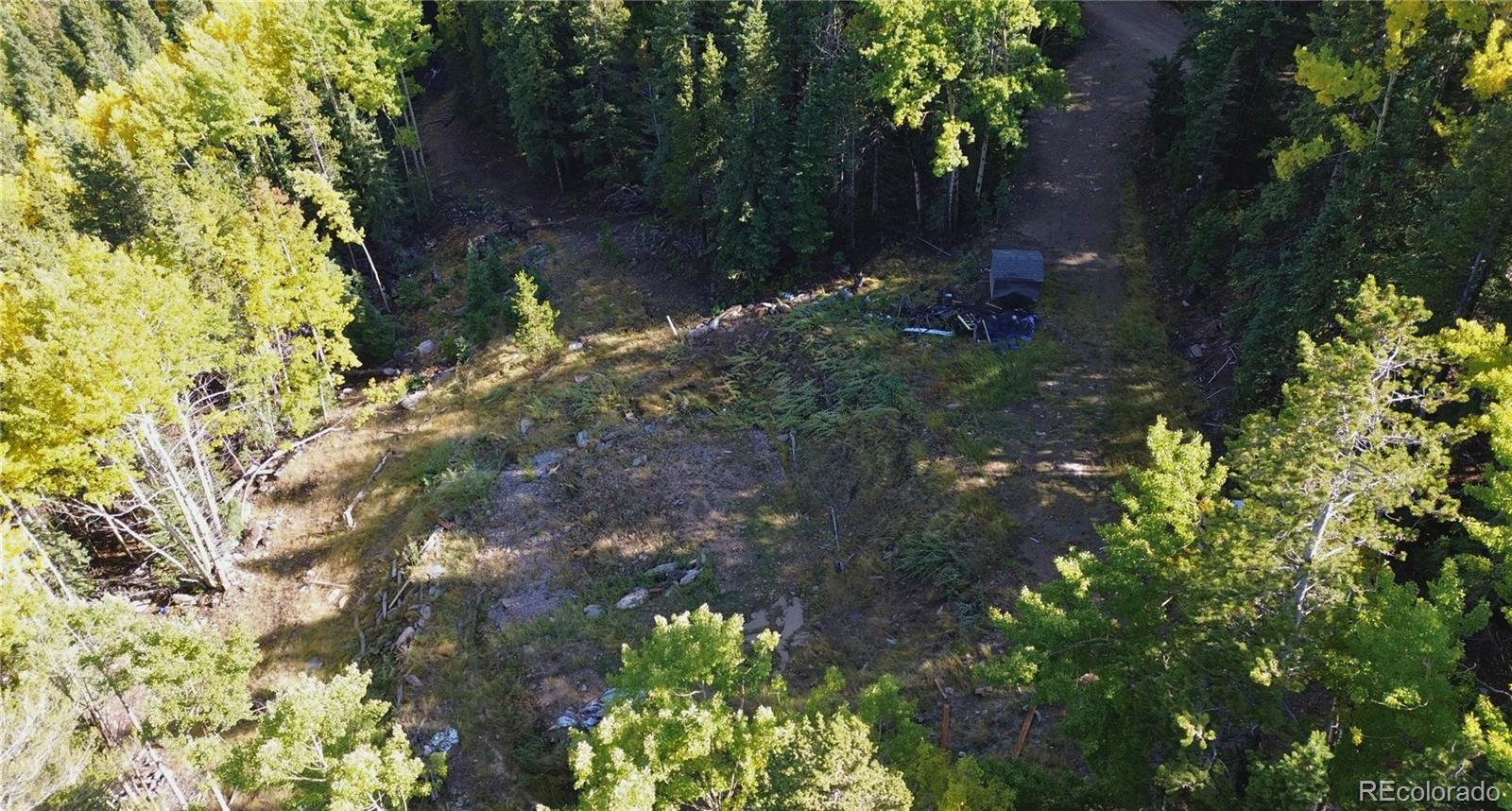 429 Sawmill Lane Idaho Springs CO 80452