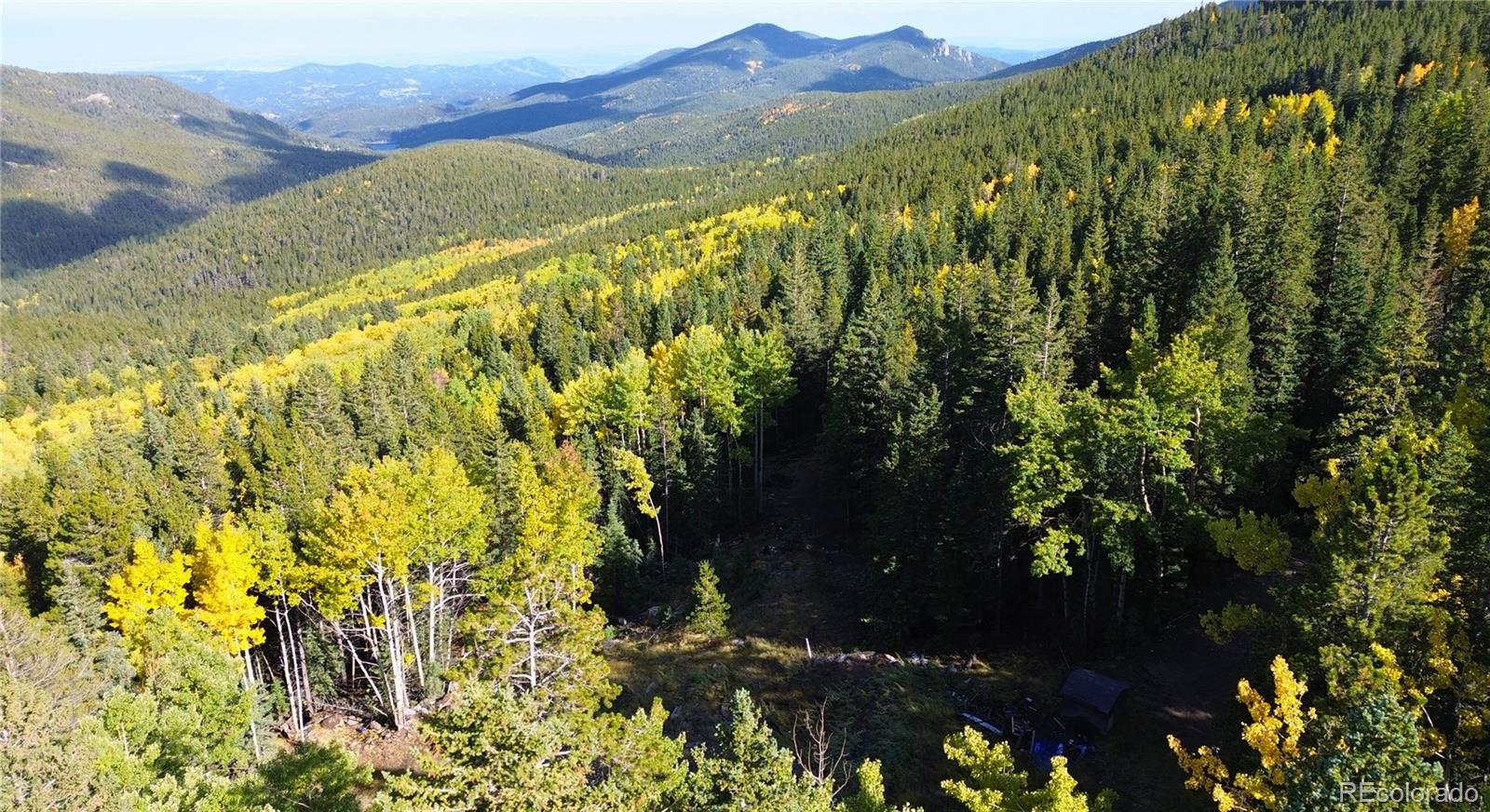 429 Sawmill Lane Idaho Springs CO 80452