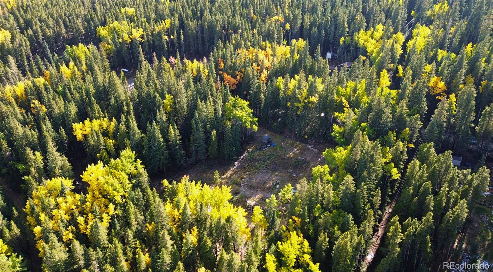 429 Sawmill Lane Idaho Springs CO 80452