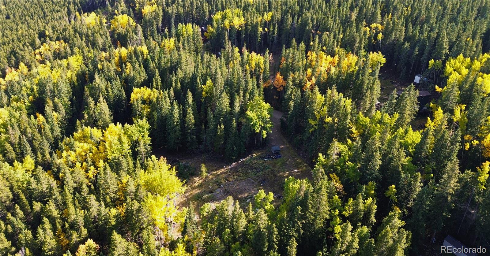 429 Sawmill Lane Idaho Springs CO 80452
