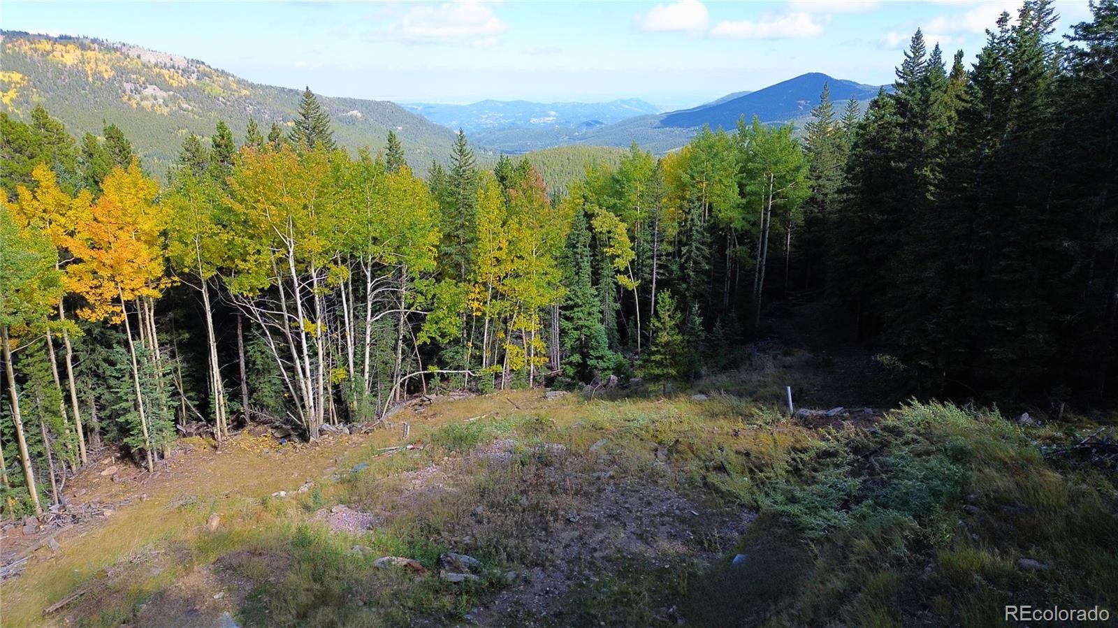 429 Sawmill Lane Idaho Springs CO 80452
