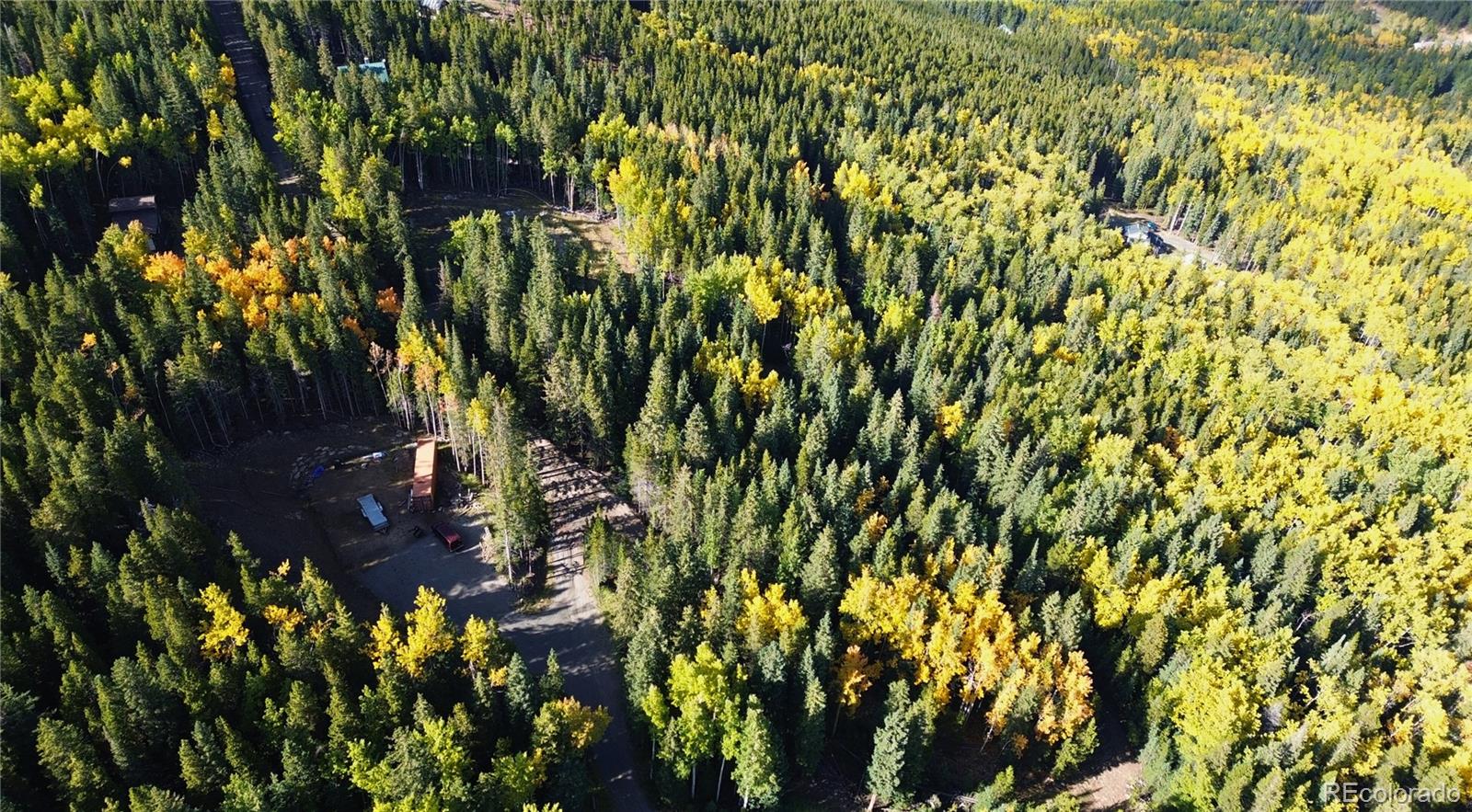 429 Sawmill Lane Idaho Springs CO 80452