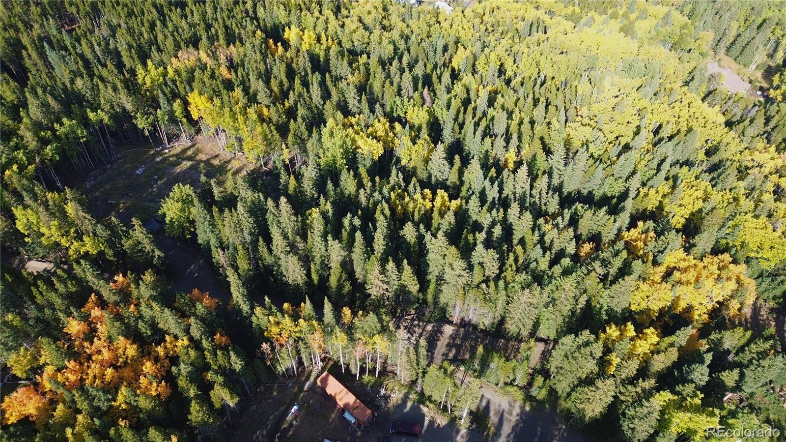 429 Sawmill Lane Idaho Springs CO 80452
