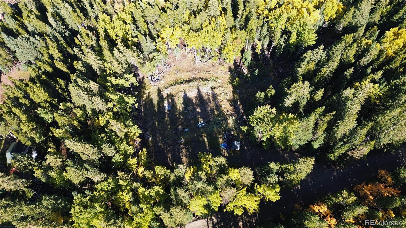 429 Sawmill Lane Idaho Springs CO 80452